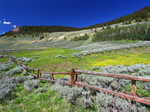 Bighorn National Forest