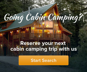 Cabin Banner