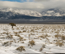 Great Basin National Park