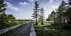 Lake D'Arbonne State Park campground