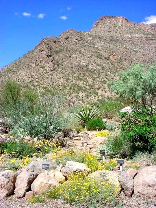 New Mexico Campgrounds and Camping ReserveAmerica