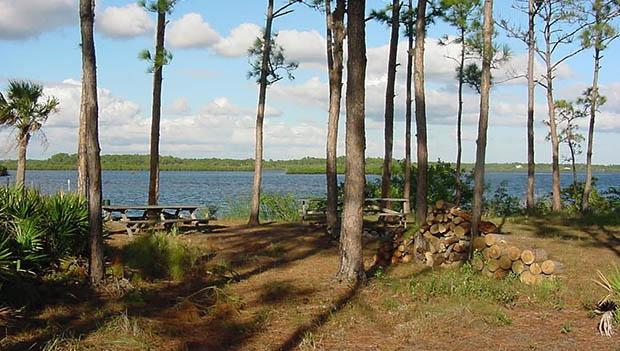 Myakka State Forest Primitive Campsites