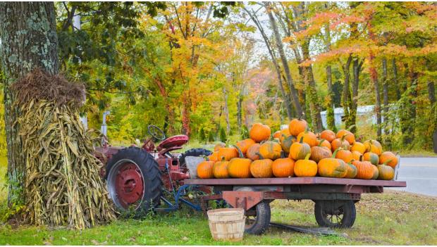 Best Pumpkin Patches Fall Festivals America 2018