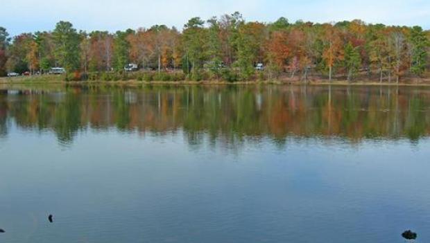 Thundering Springs