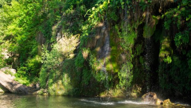 Waterfalls at Kraus Springs