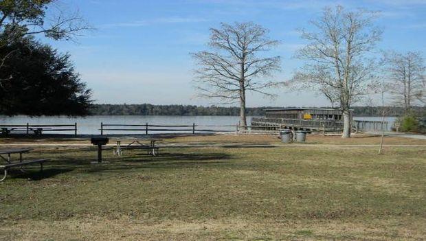 Jones Lake State Park North Carolina