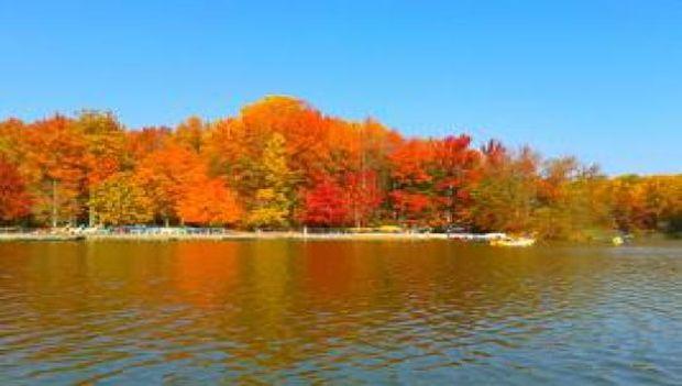 Lums Pond State Park Delaware