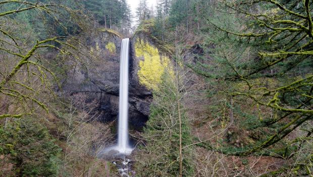 Ainsworth State Park, Oregon