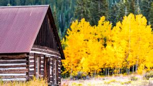 Wonderful Cabin Rentals for Fall Foliage Viewing