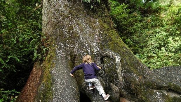 Family Hikes USA