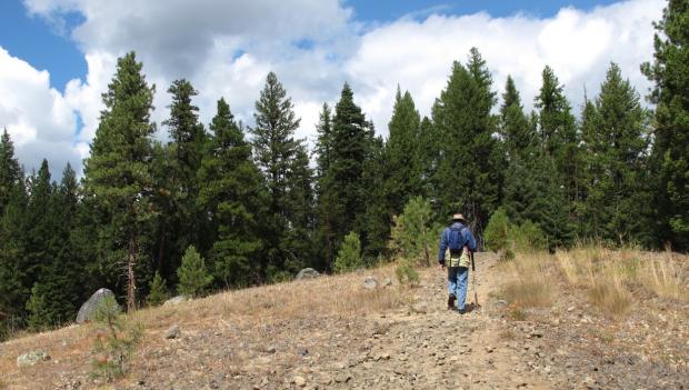 Family Hikes USA