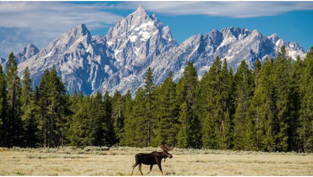 Teton Mountain Range Free Camping