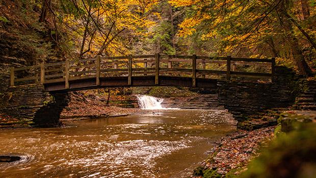 Buttermilk Falls State Park