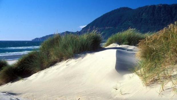 Nehalem Bay State Park Oregon