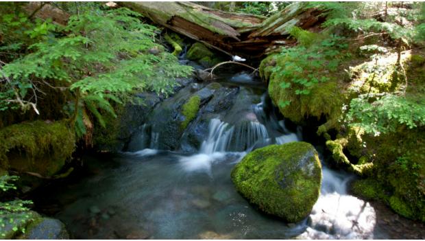 Mount Rainier National Park Experiences Silver Falls