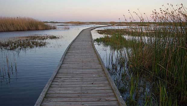 Sea Rim State Park