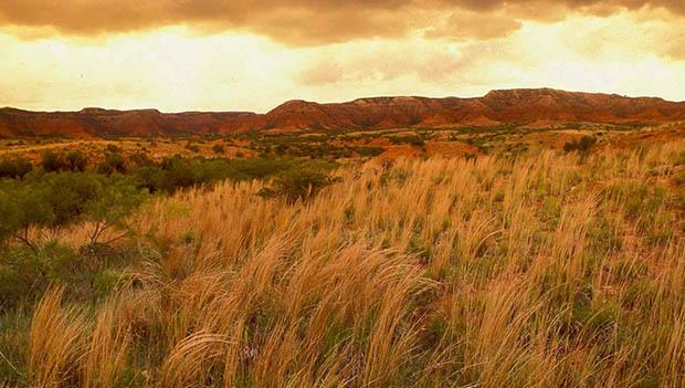 Caprock Canyons