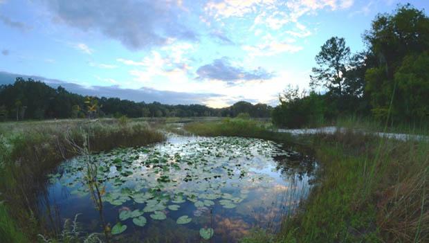 Indian Lake State Forest Primitive Campsites