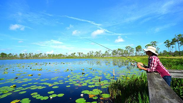 Great Florida State Forest Getaways