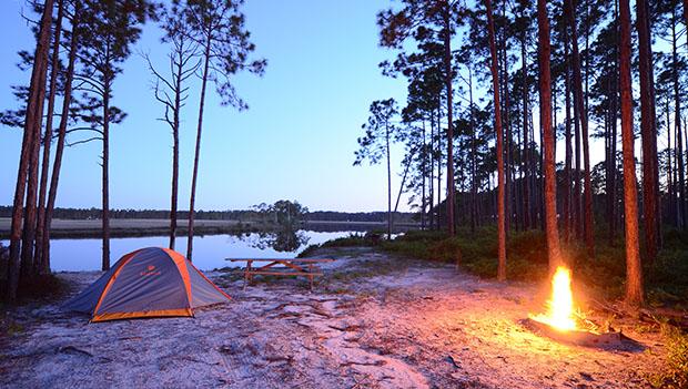 New River Primitive Campsites