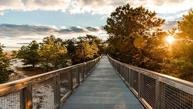 Cape Henlopen State Park