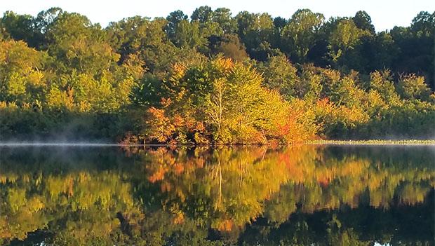 Killens Pond State Park