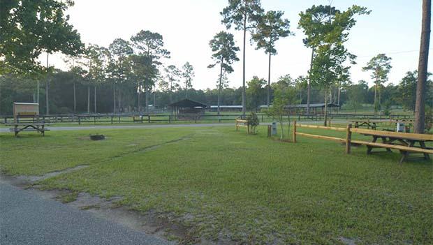 Blackwater River State Forest, Florida