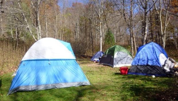 New River State Park North Carolina