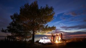 The Ultimate 2019 Camping Experiences Bucket List