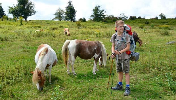 Grayson Highlands State Park