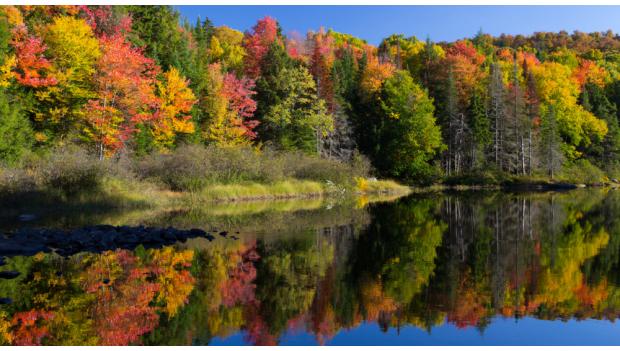 New York Fall Leaves Camping Trip