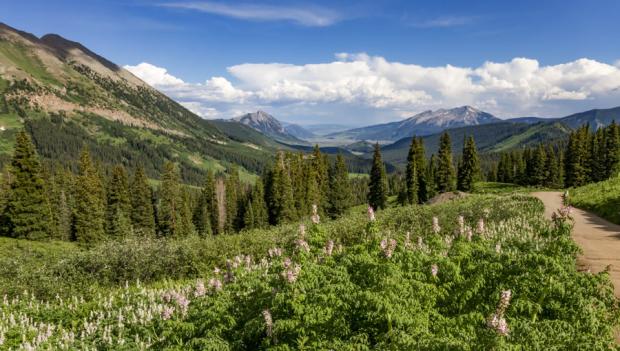 Mountain Biking in Crested Butte, Colorado