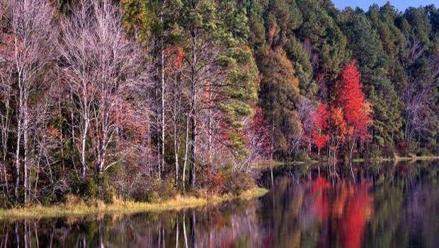 Daingerfield State Park Texas