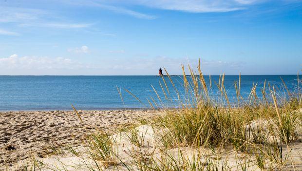 Cape Henlopen State Park Delaware