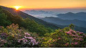 State Parks for Wildflower Camping & Viewing