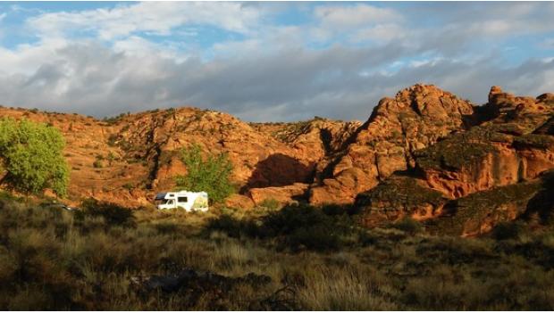 Petrified Dunes Trail