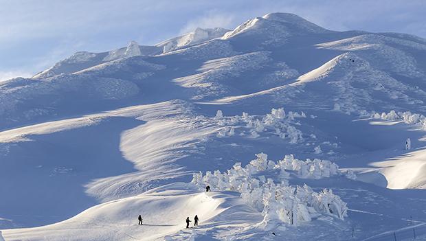 Snowboard & Ski Cabin Trips