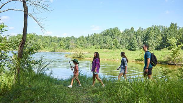 Barren River Lake