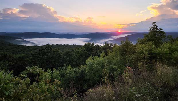 Pennsylvania Bureau of Forestry Sites Available on ReserveAmerica