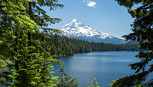 Your Guide to 5 of Oregon's Best Swimming Holes