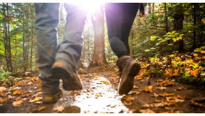 Fall Hiking Gear Essentials